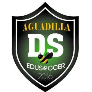 DS_EduSoccer